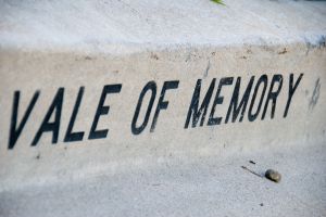 Vale of memory