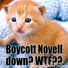 Boycott Novell down