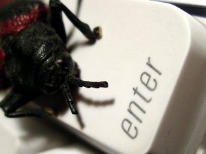 Bug warning