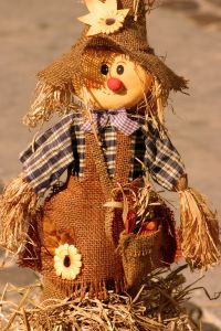 Toy scarecrow