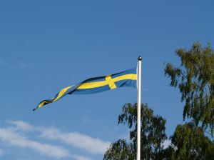 Swedish pennant
