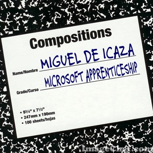 Microsoft apprenticeship