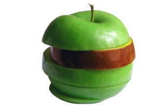 Green-red apple