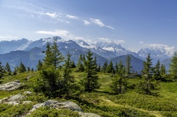 Switzerland Alps, Landscape
