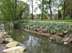 Peaceful little brook with flowering banks in springtime