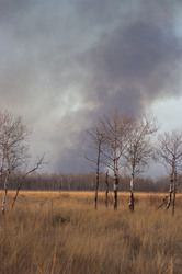 Prairie bush fire