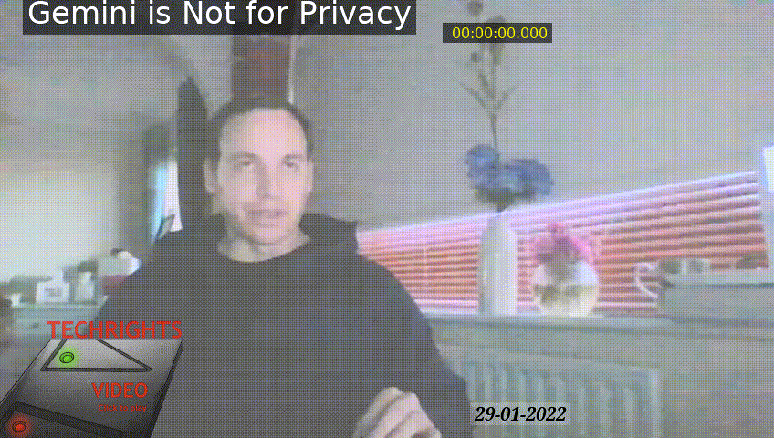 gemini-privacy-fallacy